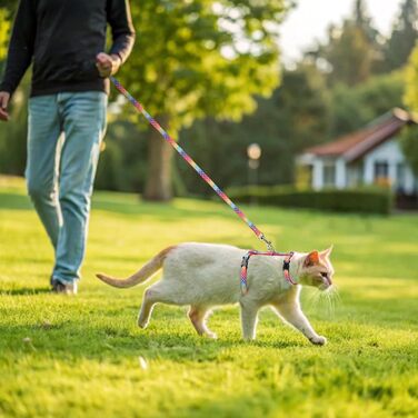Шлейка для кота PAWCHIE з повідком та ошийником, анти-вислизаюча, регульована, світиться в темряві, для кошенят, для прогулянок на вулиці (різні кольори, Small)