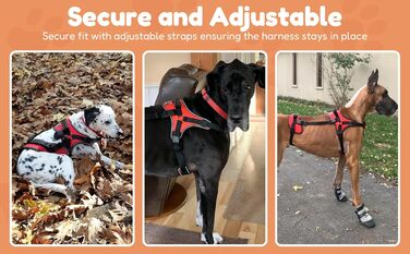 Doggie Stylz універсальна підтримуюча шлейка для собак (повна, передня або задня підтримка, для реабілітації, допомоги при ходьбі, зручна посадка)