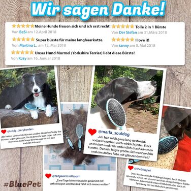 Щітка для собак BluePet 2в1 для довгої та короткої шерсті, для цуценят та котів. Розчісування, вирівнювання, вибирання. Універсальна щітка з щетиною (Рожева, M-L)