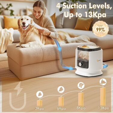 Rywell Професійна машинка для стрижки собак 4L з пилососом, 13000 Pa, 6 насадок для грумінгу, щітка для собак, пилосос для собак з щіткою, тиха