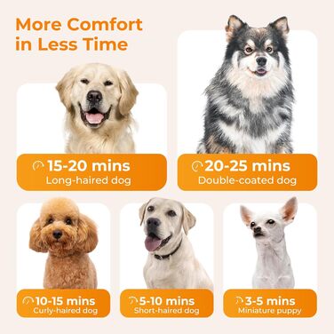 Фен для собак Pecute: потужний сушар для грумінгу з регулюванням температури та швидкості, комплект для догляду за тваринами