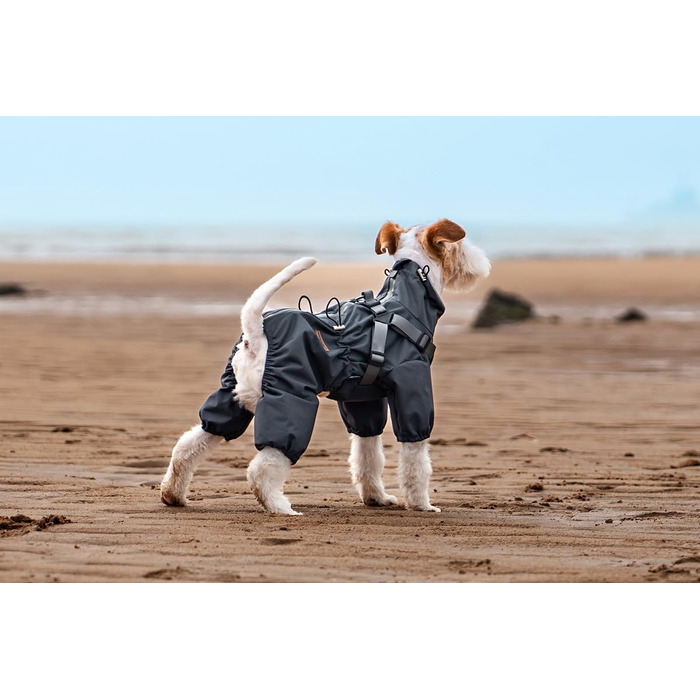 Водонепроникний комплект для собак BT Bear: жилет, дощовик, жилетка, XL, чорний