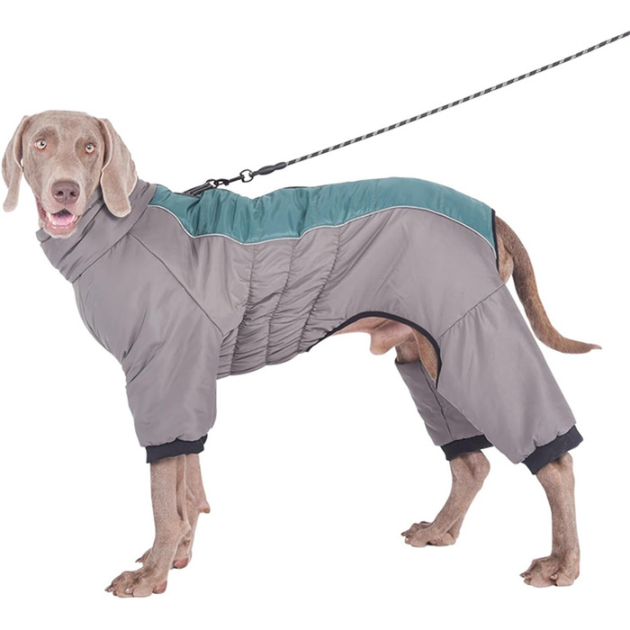 Зимовий теплий одяг для собак з отвором для повідка, водонепроникна куртка для собак, зимовий одяг для маленьких, середніх та великих собак (5XL, зелений)