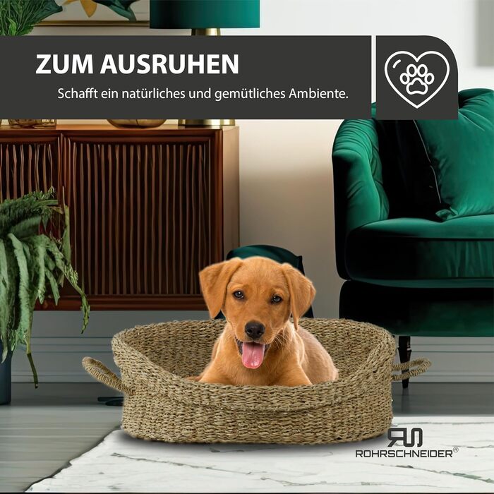 Корзина для собак Rohrschneider з ручками для маленьких та середніх собак | Ручна плетіння з морської трави, посилений високий борт | Знімний, пральний чохол | Розмір 1 (70 x 60 см)
