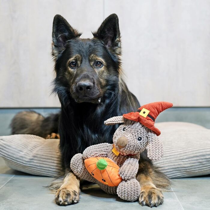 Килимок для собак 60x50 см, бежевий, Corduroy (4L Textil ZOE)