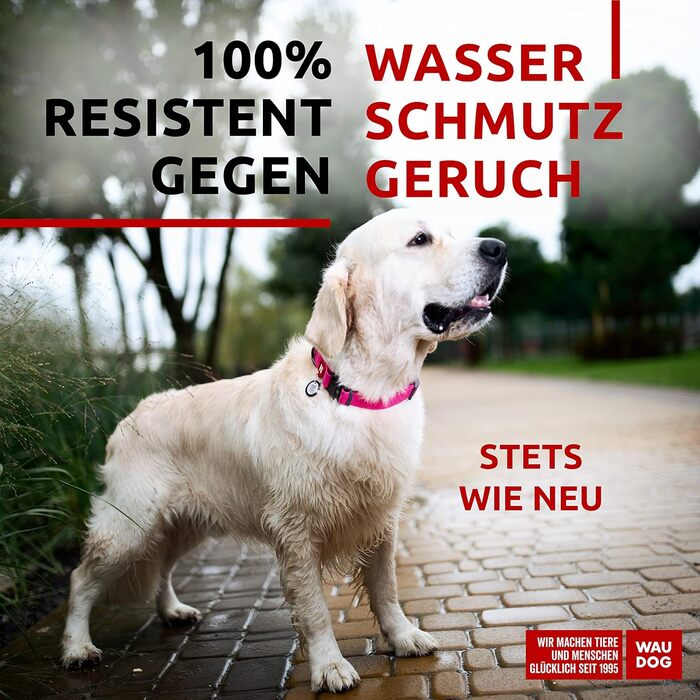 Водонепроникний нашийник для собак WAUDOG: великі, середні та малі породи. Регульований, металевий замок, ширина 25 мм, довжина 31-49 см, рожевий колір