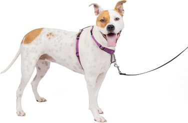 PetSafe 3-в-1 шлея для собак, анти-затяг, для авто, з ручкою, світловідбивачі, розмір M, чорний, синій, фіолетовий