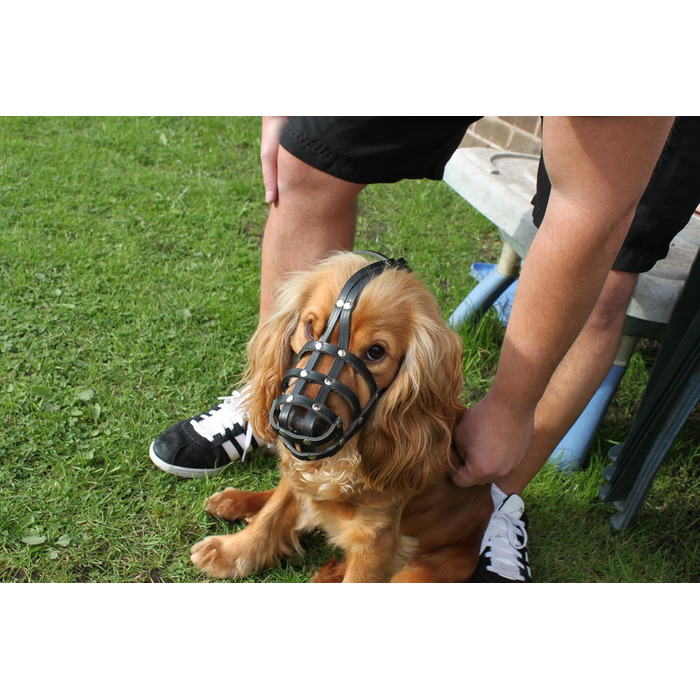 Шкіряна маска для собак L&J Pets для мопсів, пуделів, хаскі та інших собак з подібним розміром морди (5, Чорний) Чорний 5