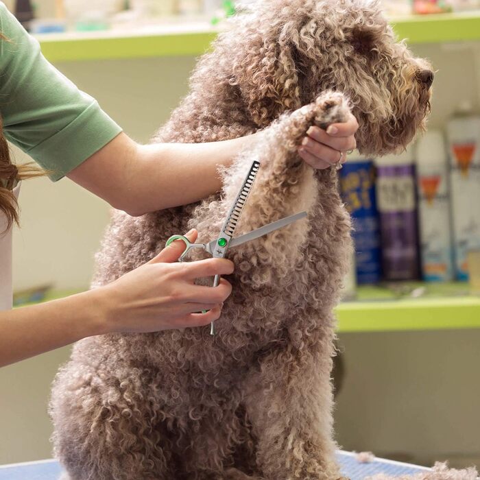 Набір професійних інструментів для грумінгу собак PURPLEBIRD: ножиці для грумінгу, 7 дюймів, з японської сталі 440C (набір з 4 шт.)