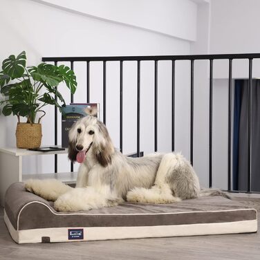 Ортопедичне ліжко для собак Laifug з ефектом пам'яті, велике, водонепроникне, сіре (116 x 69 x 19 см)