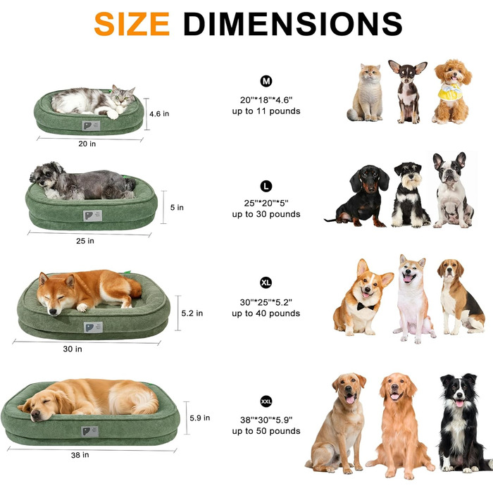 Ортопедичне ліжко для собак маленьких порід, велике (L), зелене Squishmallow, знімний чохол, неслизьке дно, 4 валики для шиї