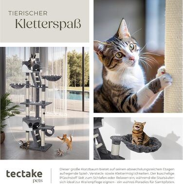 Tectake Котячий дряпка XXL, регульований 243-260 см, з драбинкою, будиночком, тунелем, лежанкою та сизалевими стовпами, сірий/білий