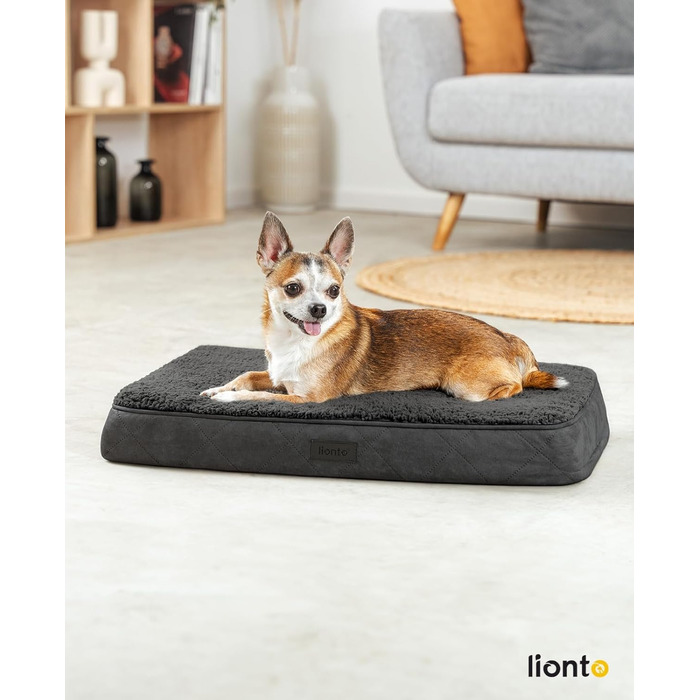 Ортопедичне ліжко для собак Lionto, 60x40x8 см, міцне, з м'яким плюшем, знімний та пральний чохол, водовідштовхувальне, для собак та котів, чорне