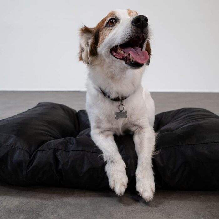 Килимок для собак Bananair - м'який та зручний, водовідштовхуючий, легко чистити. XXL лежанка для собак, кошик для собак, лежанка для собак різних розмірів/кольорів (75 x 50 x 10 см, чорний)