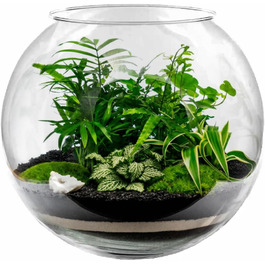 Скляна ваза-куля Ø 30 см, 12 л: ваза для квітів, акваріум, тераріум, гідропоніка