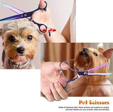 Набір для грумінгу домашніх тварин: професійні ножиці для собак та котів, набір для догляду, нержавіюча сталь