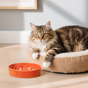 Керамічна миска для собак від ковтання - неслизька миска для собак з кераміки - годівниця для собак та котів - підходить для сухого та вологого корму - 180г (Маленька, Помаранчевий)