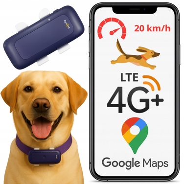 GPS-трекер 4G для тварин: локалізатор для собак та котів без абонплати