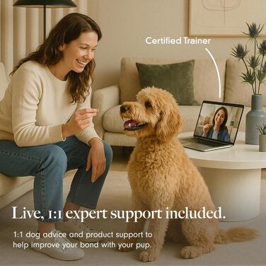 Набір для розвитку інтелекту собак LAY LO: іграшка-кіп, миска для корму та килимок для ласощів, килимок для нюхання, безпечний силікон, з онлайн-підтримкою