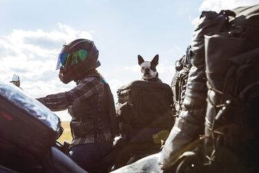 Kuryakyn Grand Pet Palace – транспортувальний бокс для собак і котів, переносний, водонепроникний, для багажника чи пасажирського сидіння, з ременями для Sissy Bar, чорний