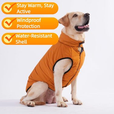 Зимова куртка LovinPet для собак, двостороння, розміри M, L, XL, XXL, куртка з ґудзиками, вітронепроникна, снігонепроникна та водонепроникна, темно-зелена та сіра для холодної погоди