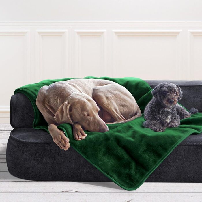 Tierlando® Деко для собак Lilly: М'яка, затишна плюшева ковдра для домашніх тварин, цуценят та котів | Темно-зелений, XXL (150x100 см)