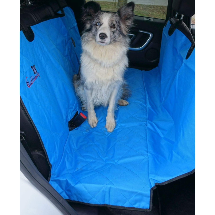 Callieway Автоковдра для собак, плед для пікніків з м'якими лапками (блакитний)