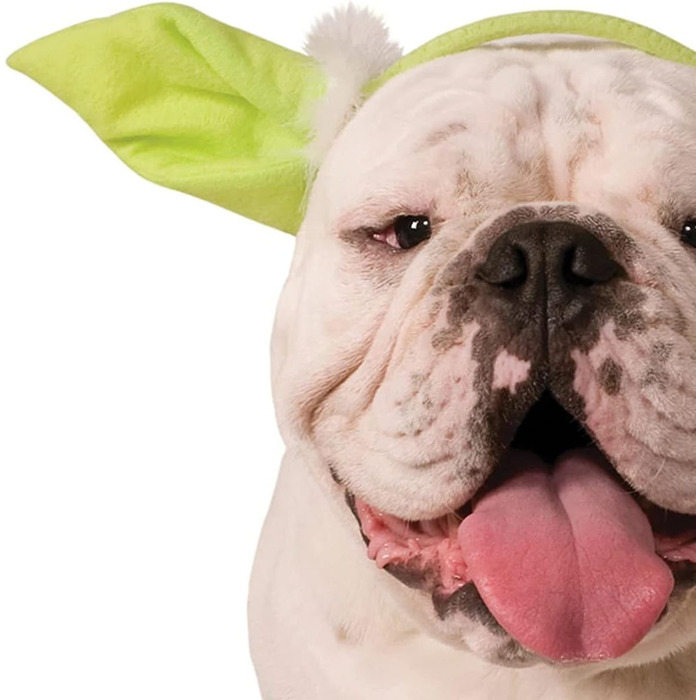 Костюм для собак Рубіс Зоряні війни Йода, розмір M/L