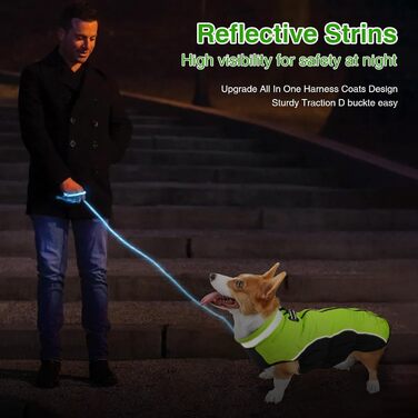 Зимова куртка для собак, водонепроникна, тепла, м'яка, вітрозахисна. З облаштуванням для повідка, світловідбиваюча, з блискавкою та регульованою застібкою. Для малих та середніх собак (Зелений, XL)