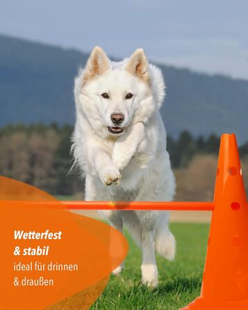 Кегель-бар'єри Sportikel24 для аджиліті – набір бар'єрів для собак, коней та дітей – 50 см