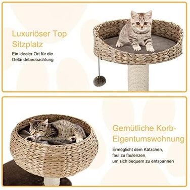 Дерево-кігтеточка для котів FANTASK з ліжками, будиночком та активностями