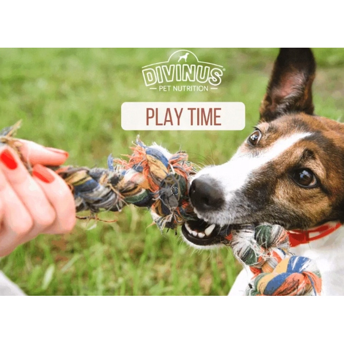 Повний сухий корм для дорослих собак Divinus Dog з вітамінами, 20 кг