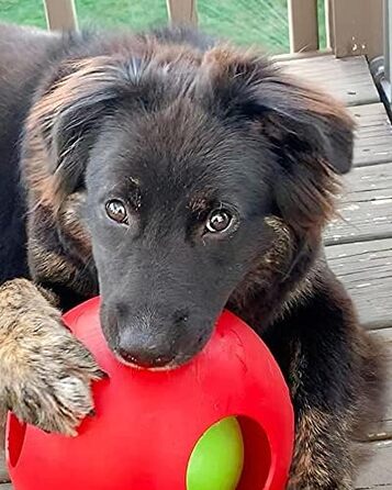 Іграшка для собак Jolly Pets Teaser Ball 20 см, червона