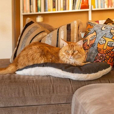 Лежанка для собак та котів FERPLAST - м'яка, миюча, 65x42 см, M, бежева, плюш та бавовна