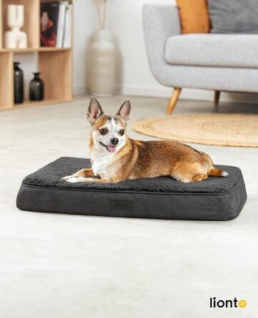 Ортопедичне ліжко для собак Lionto, 60x40x8 см, міцне, з м'яким плюшем, знімний та пральний чохол, водовідштовхувальне, для собак та котів, чорне
