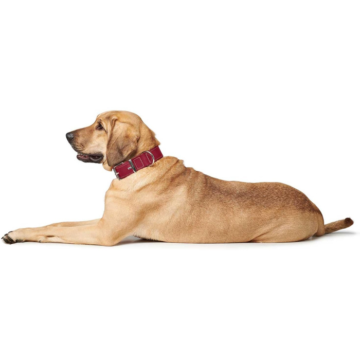 Нашийник для собак HUNTER AALBORG SPECIAL, червоний, шкіряний, міцний, комфортний (M)