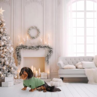 Зелений теплий зимовий пуловер для собак Konvinit, для чихуахуа, такси, бульдога, малих та середніх порід