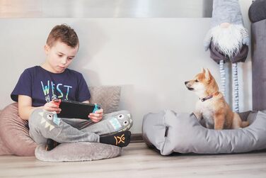 Лежак для собак BedDog Zara S, знімний і праний чохол, подушка, кошик, диван для малих порід