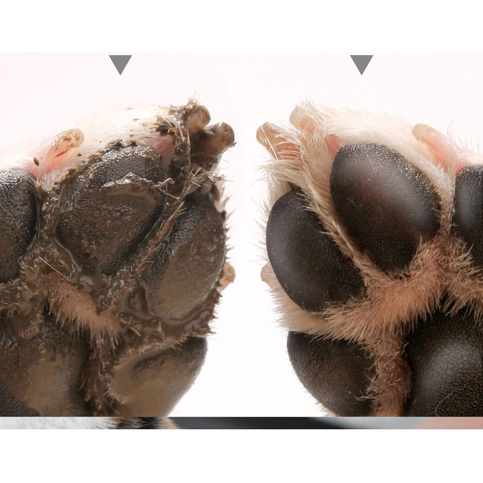 Автоматична мийка для лап домашніх тварин AXTMR з масажем, силікон, для собак та котів, Blue 150 мл