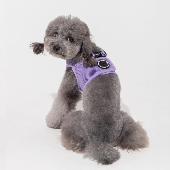 Puppia м'яка шлейка для собак, сітчаста, з підкладкою, не душить, не тягне, для вигулу, бігу та тренувань, для малих, середніх і великих собак, фіолетова, розмір S