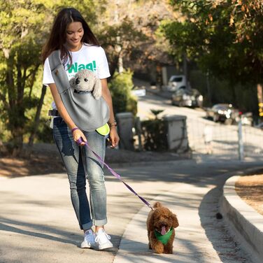 PETCUTE Сумка-переноска для собак, сіра, до 6 кг, з ременем безпеки