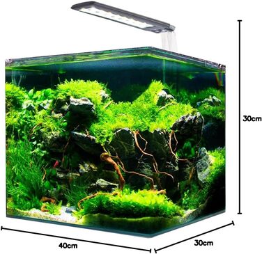Amtra Nanotank System 36 — акваріум із скла 36 л, LED-освітлення, фільтр, підкладка, 40x30x30 см