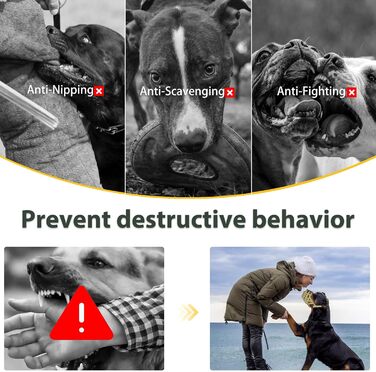 Майерзон Намордник для собак Пітбуль, Ротвейлер, Стаффордширський тер'єр - запобігання укусам, догляд за шерстю, дозволяє пити, зелений, розмір M (Snout Cir: 9.75'-11')