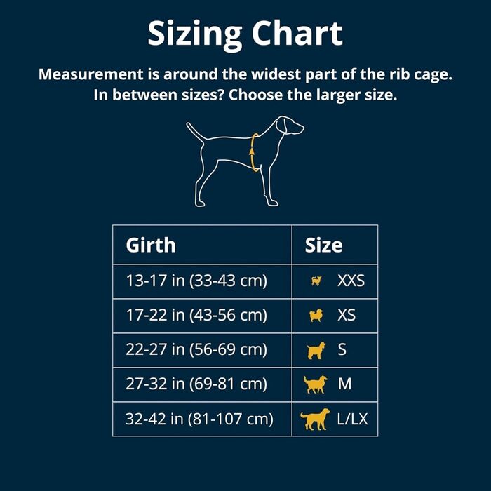 Шлейка Swamp Cooler від Ruffwear для собак з ручкою, легке прохолодне спорядження для собак, регульована, міцна та охолоджуюча, 2 петлі для повідків, Biolumin Blue (Small, 56-69 см)