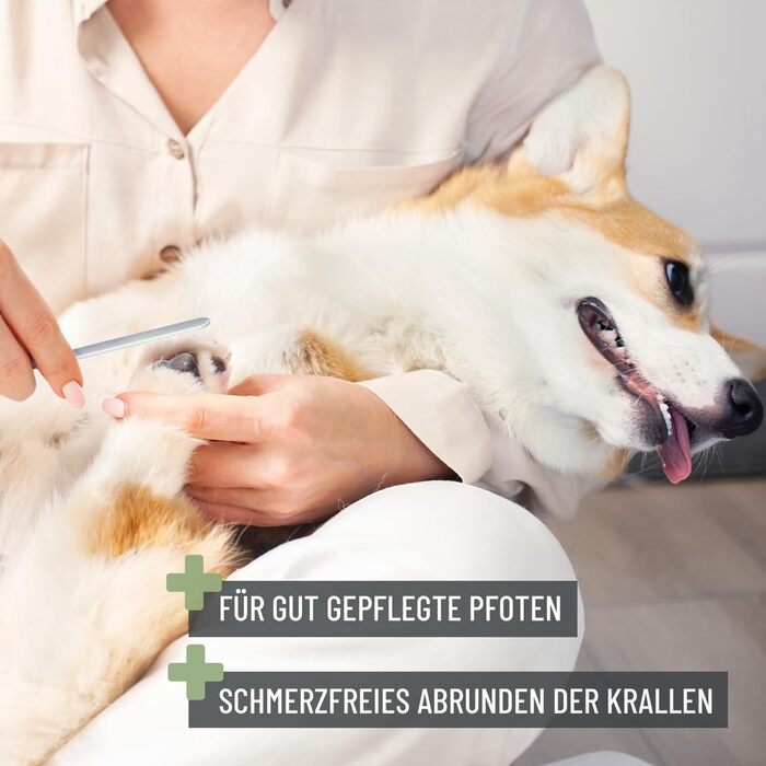 Ножиці ReaVET для обрізання кігтів собак та котів - з пилочкою та обмежувачем | Нержавіюча сталь | Інструмент для догляду за кігтями