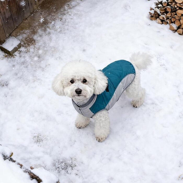 Тепла та стильна куртка для собак: теплий, вітронепроникний жилет – ідеальний зимовий одяг для вашого собаки (Sky Blue, M)