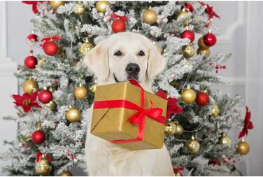 Костюм Святого Миколая для собак, теплий зимовий халат, костюми для собак, тепла куртка, костюми для тварин, регульований костюм Святого Миколая для домашніх тварин (XXL)