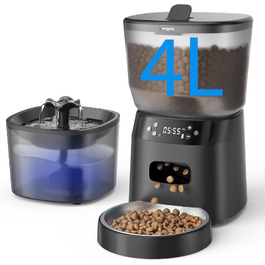 розмір: 4l+2l