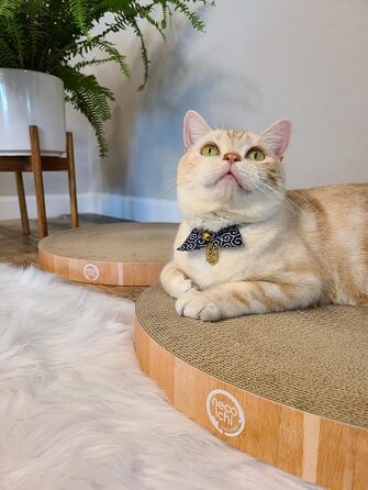 Кігтеточка-лежанка Necoichi Cozy Kratznapf для котів, 1.31 кг (підкладка дуб, Regular)