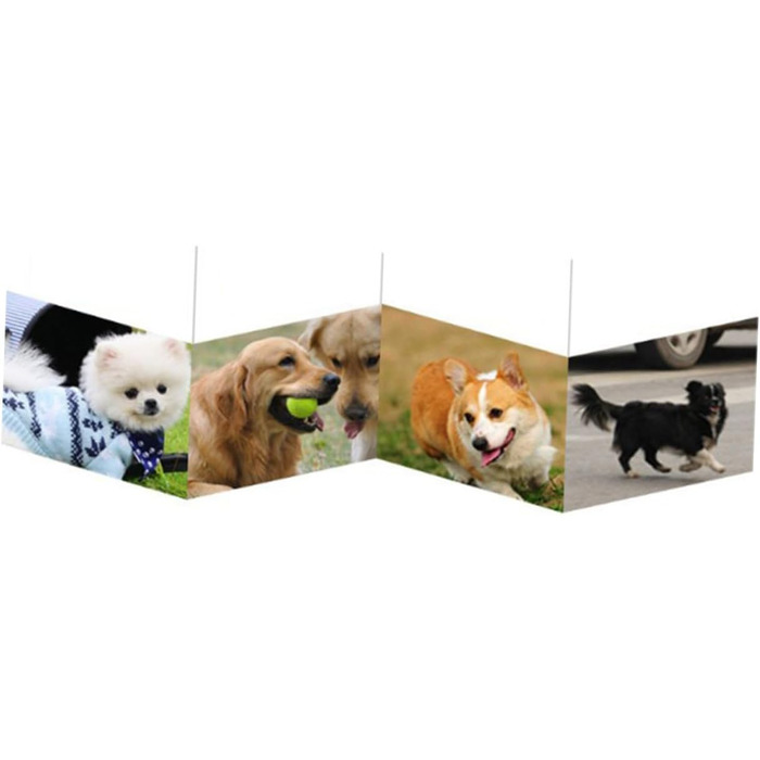 Рюкзак для вигулу собак і котів LOLIPPYY, великий, дихаючий, блакитний